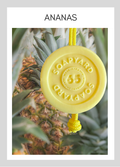 Savon avec corde Soapyard — Ananas, sur fond illustrant son parfum