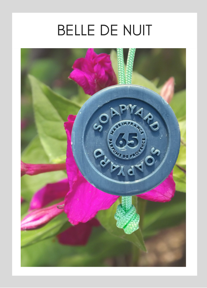 Savon avec corde Soapyard — Belle-De-Nuit, sur fond illustrant son parfum