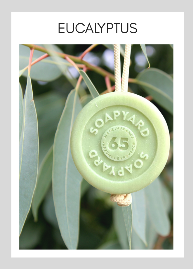 Savon avec corde Soapyard — Eucalyptus, sur fond illustrant son parfum
