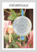 Savon avec corde Soapyard — Chevrefeuille, sur fond illustrant son parfum