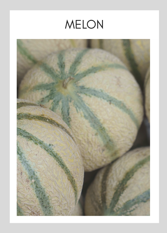 Carte parfum Soapyard — Melon