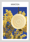 Savon avec corde Soapyard — Mimosa, sur fond illustrant son parfum